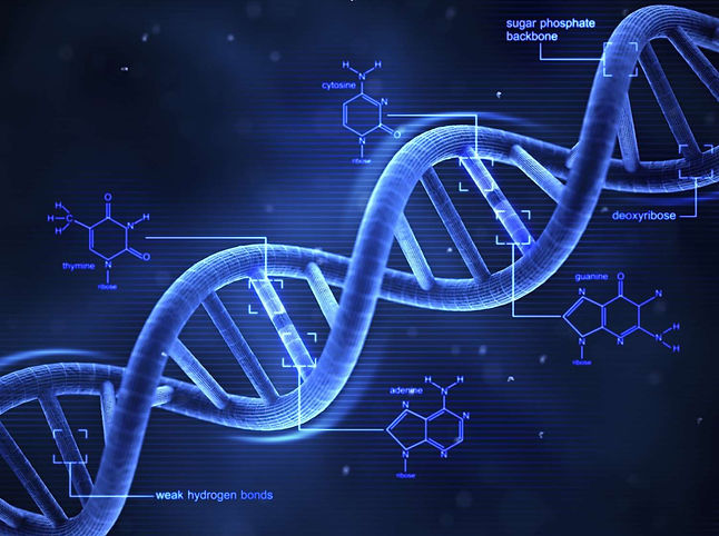 Clblegacysolutions DNA Compliance