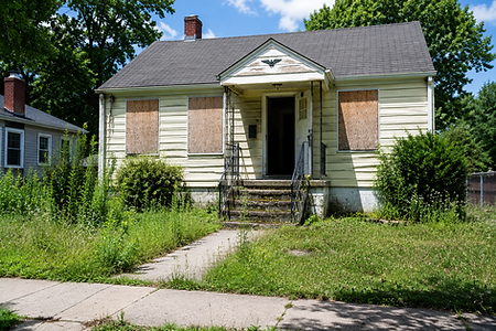 Local Property Solutions LLC | Abandoned Property