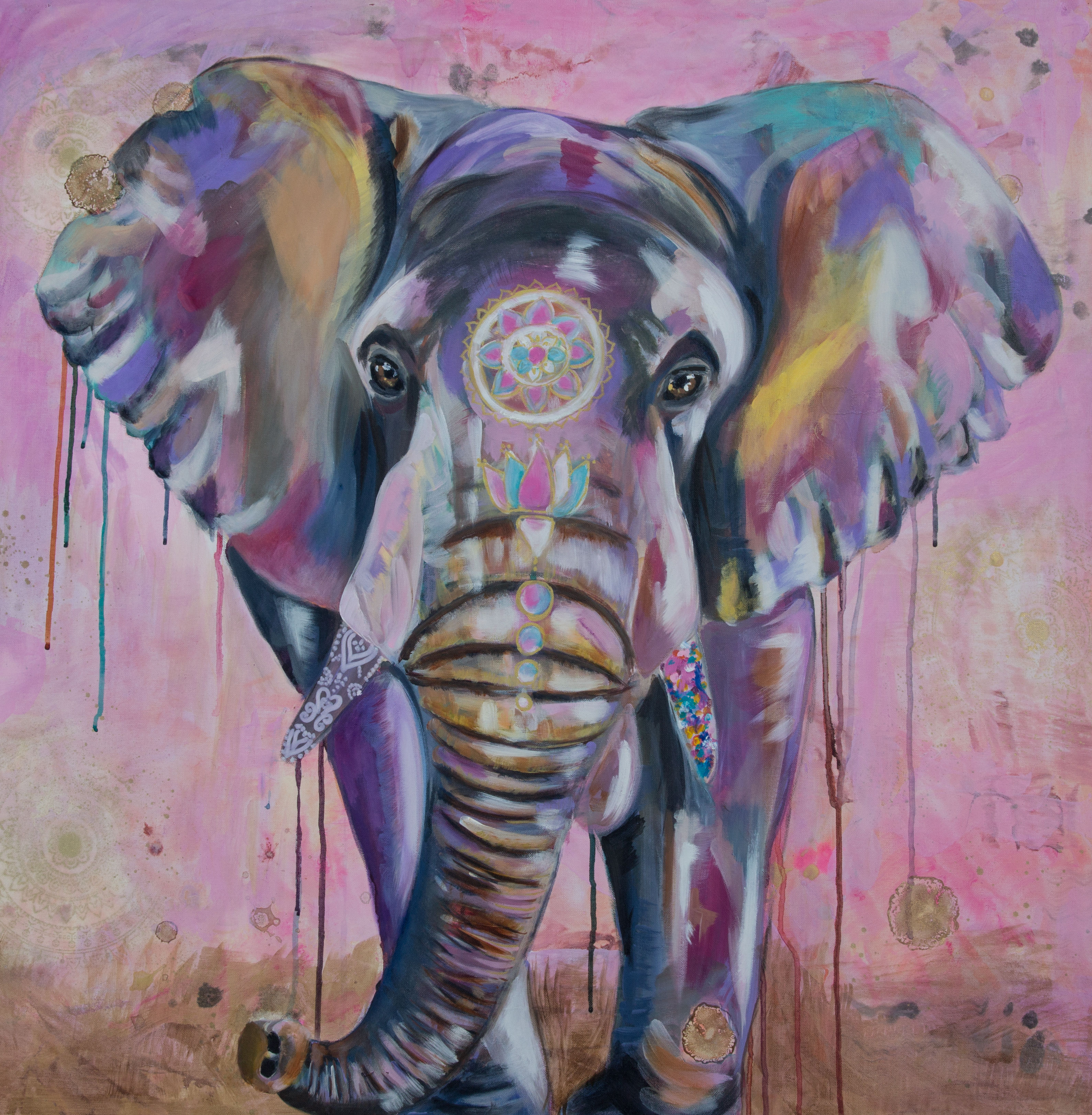 Pinky Skies and Elephant Ears. Fine Art Print