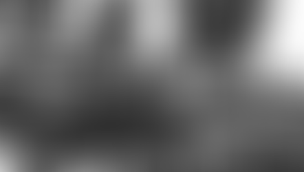 31 | Findings from the 1921 Census on Caste and its Afterlives