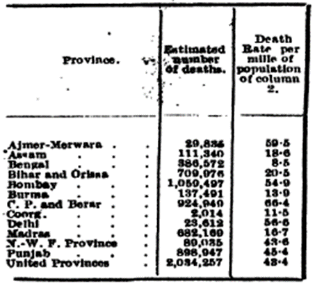 Estimated number of deaths and deaths per mille of population in 1918, by province. (Source: Marten, 1924.)