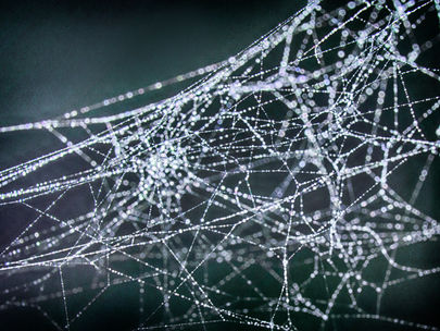 Oh the Tangled Web Patent Investment Companies Weave