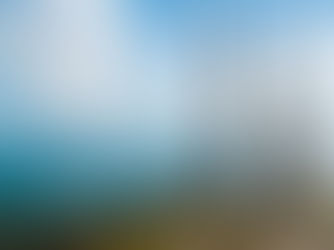 The Cellular Multiverse