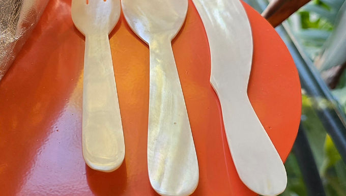  MOTHER Of Pearl Cutlery Set