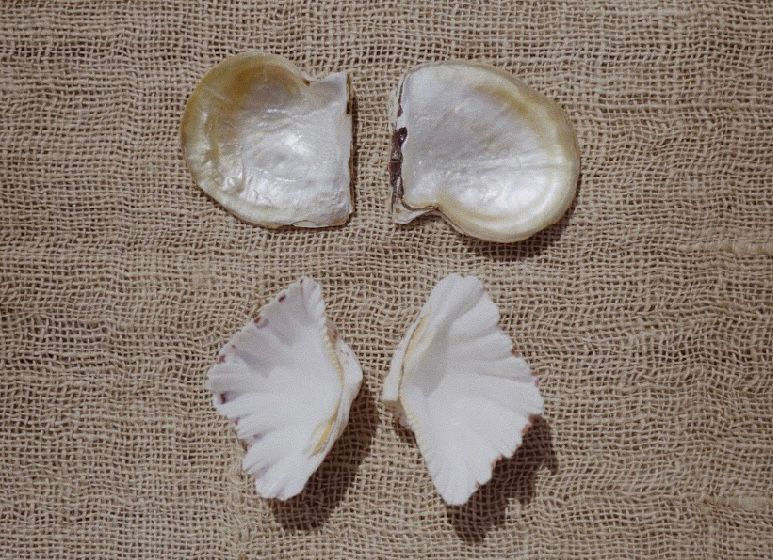 Thumbnail: BLACKLIP Trim | Salt and Pepper - Set of 2