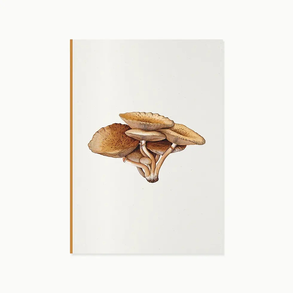 Thumbnail: MUSHROOM Notebook Set of 3