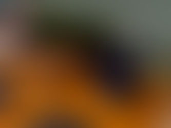 Danish vintage kitchen interior