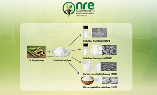 Successful Isolation of Cellulose and Development of Its Derivatives