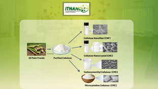 Successful Isolation of Cellulose and Development of Its Derivatives