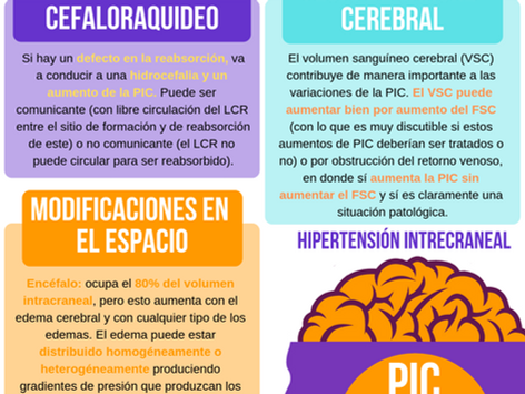PRESIÓN INTRACRANEAL