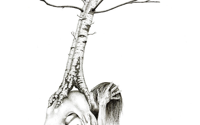 Silver Birch
