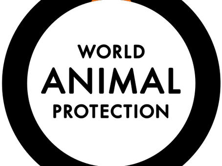 Investerum stödjer World Animal Protection