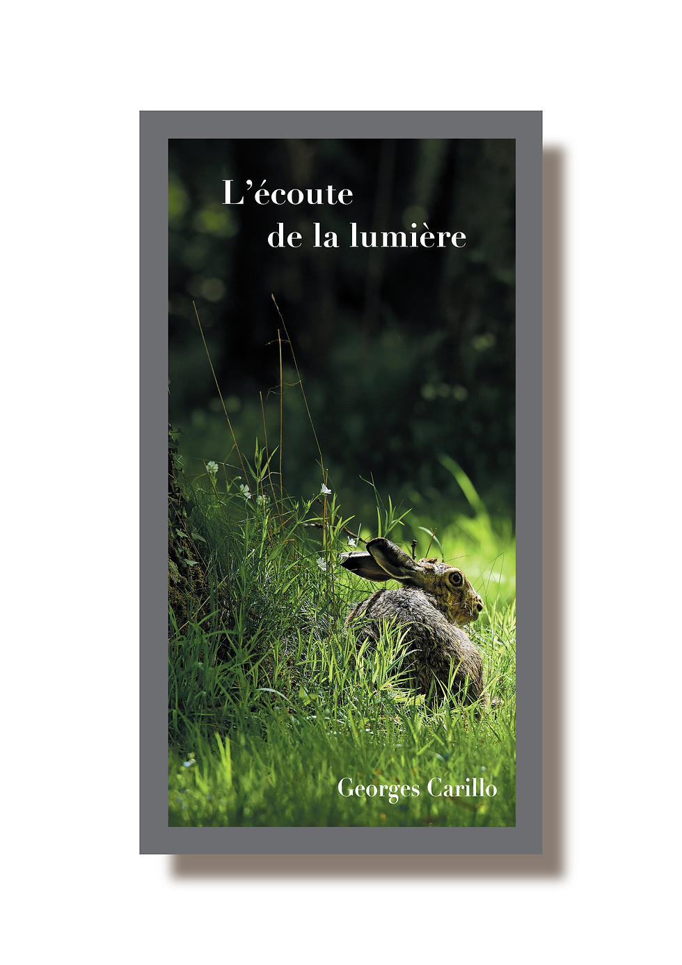 Miniature : Coffret deux livres "L'observation du silence - L'écoute de la lumière"
