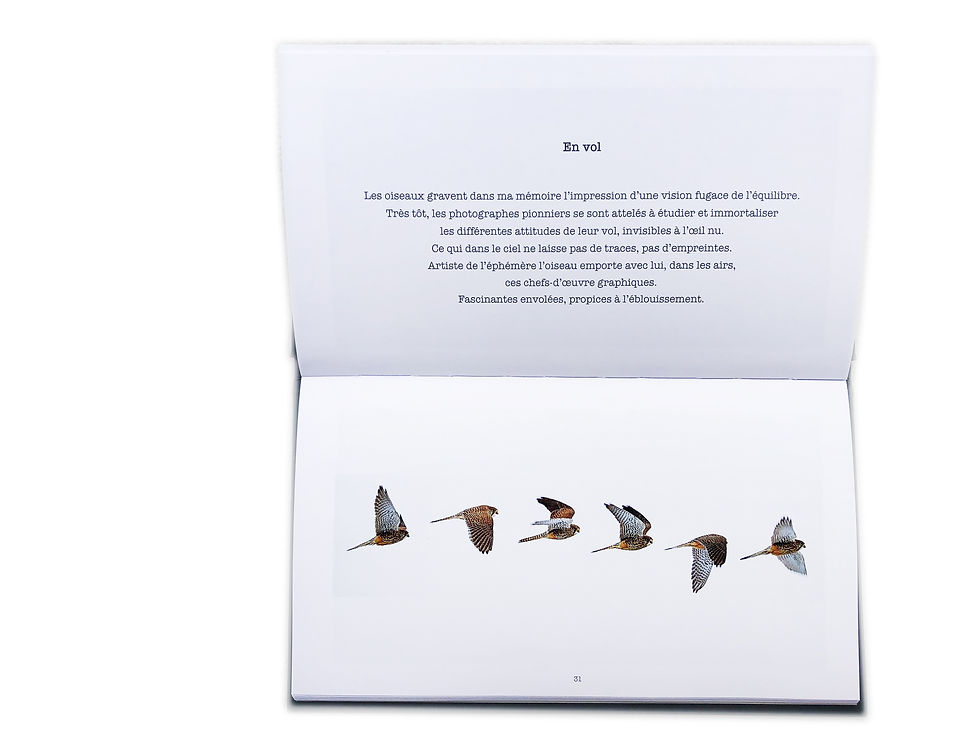 Miniature : Coffret deux livres "L'observation du silence - L'écoute de la lumière"