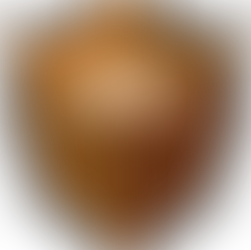 2. třída - týden od 17. listopadu