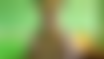 US citizen abducted in Zamboanga del Norte