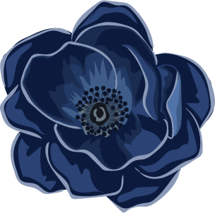 Asset 9.png
