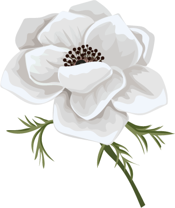 Asset 7.png