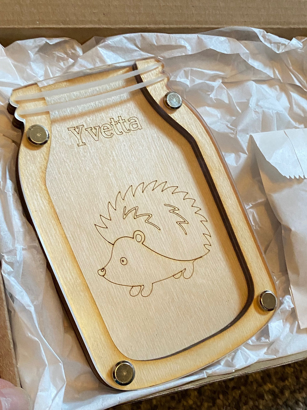 Reward Jar - HEDGEHOG