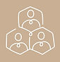network asset