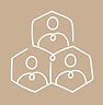 network asset