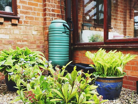 How To Set Up a Simple Rainwater Harvesting System