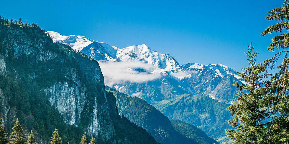 Therapy for Expats in France