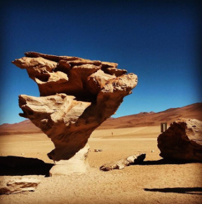 Tree Rock