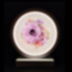 縮圖：永生花月圓花燈 - 紫紅夜光