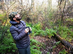 Bird Watching
