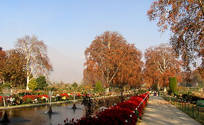 Shalimar