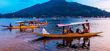 dallake