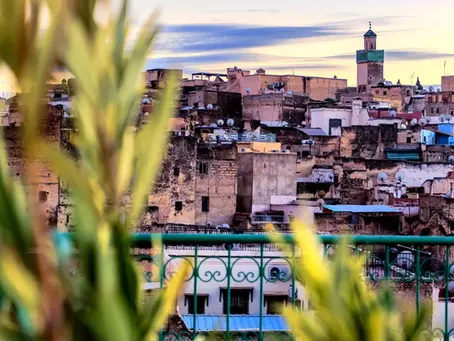 🇲🇦 Huile d’olive au Maroc : Une troisième année noire pour la production