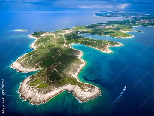 🇭🇷 À la découverte de la Bjelica d’Istrie : un trésor d’huile d’olive venu de Croatie