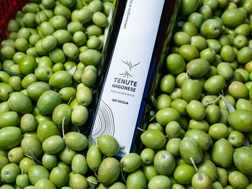 Huile d’olive IGP Sicile : l’expression authentique du terroir sicilien