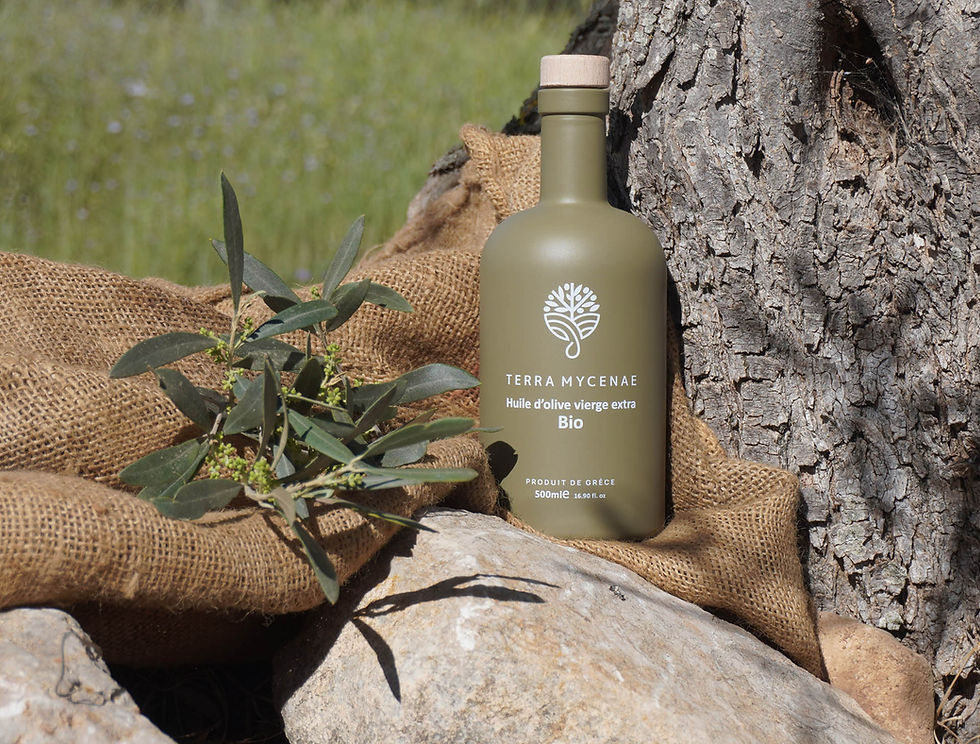 🟡Grèce – Huile d’olive – TERRA MYCENAE BIO