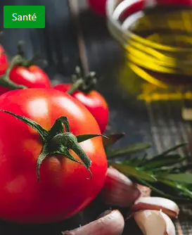 🧠🫒 L’Huile d’Olive et la Santé Intestinale : Une Nouvelle Étude Révèle son Pouvoir Caché