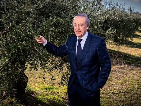 🇪🇸 Torres Import : L’huile d’olive catalane qui brille au firmament mondial