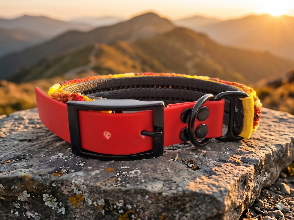 Miniaturbild: Sunset Peak