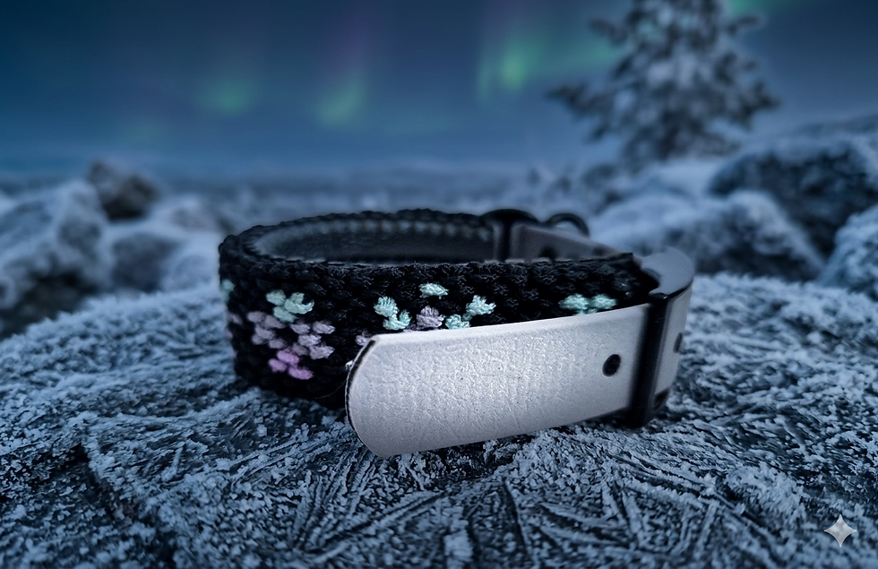 Miniaturbild: Midnight Frost