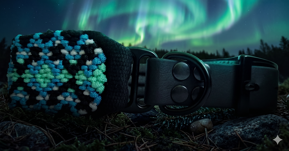 Miniaturbild: Aurora Borealis