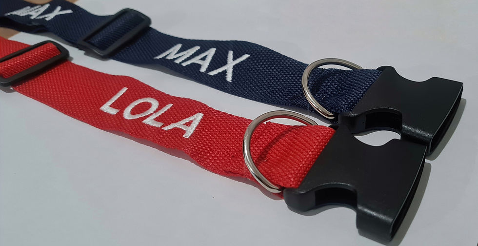 Miniatura: Collares ajustables mascotas