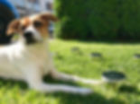 IMG_4860.jpeg