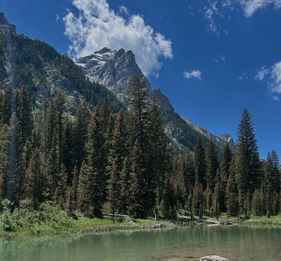 The Ultimate 7-Day Wyoming Road Trip Itinerary