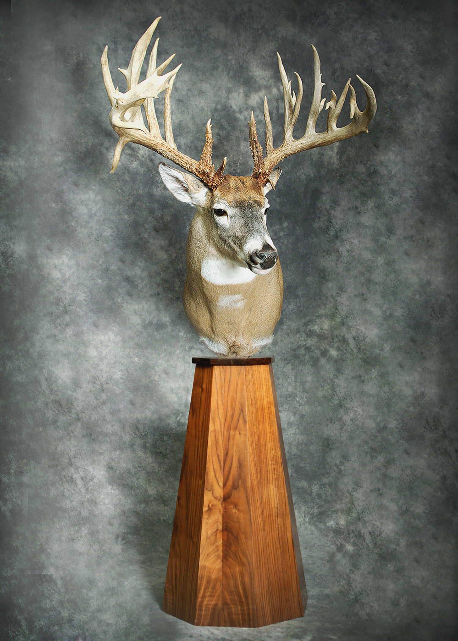 The Amish Buck