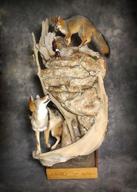 Fox | Wolf | Pheasant
