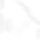 house_1018573.png