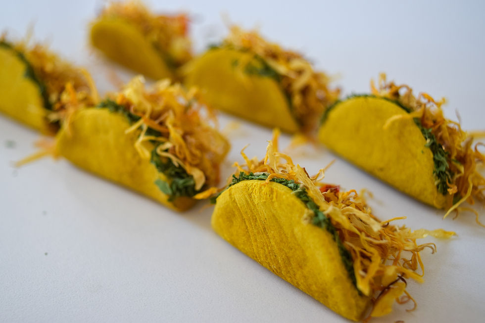 Thumbnail: Floppy Tacos