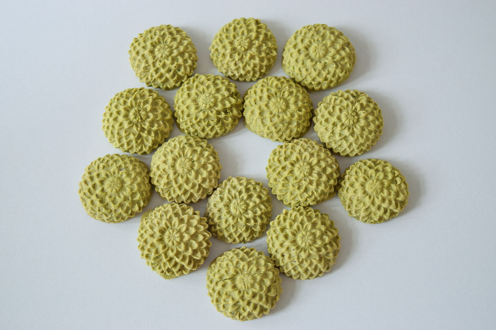 Thumbnail: Anti-Inflammatory Support Treats