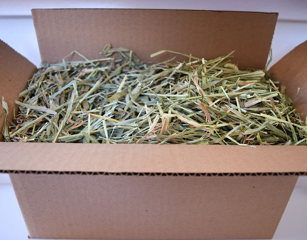 Thumbnail: 2nd Cut Timothy Hay